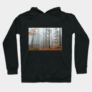 Autumn Mood, Forest with Fog. Hoodie